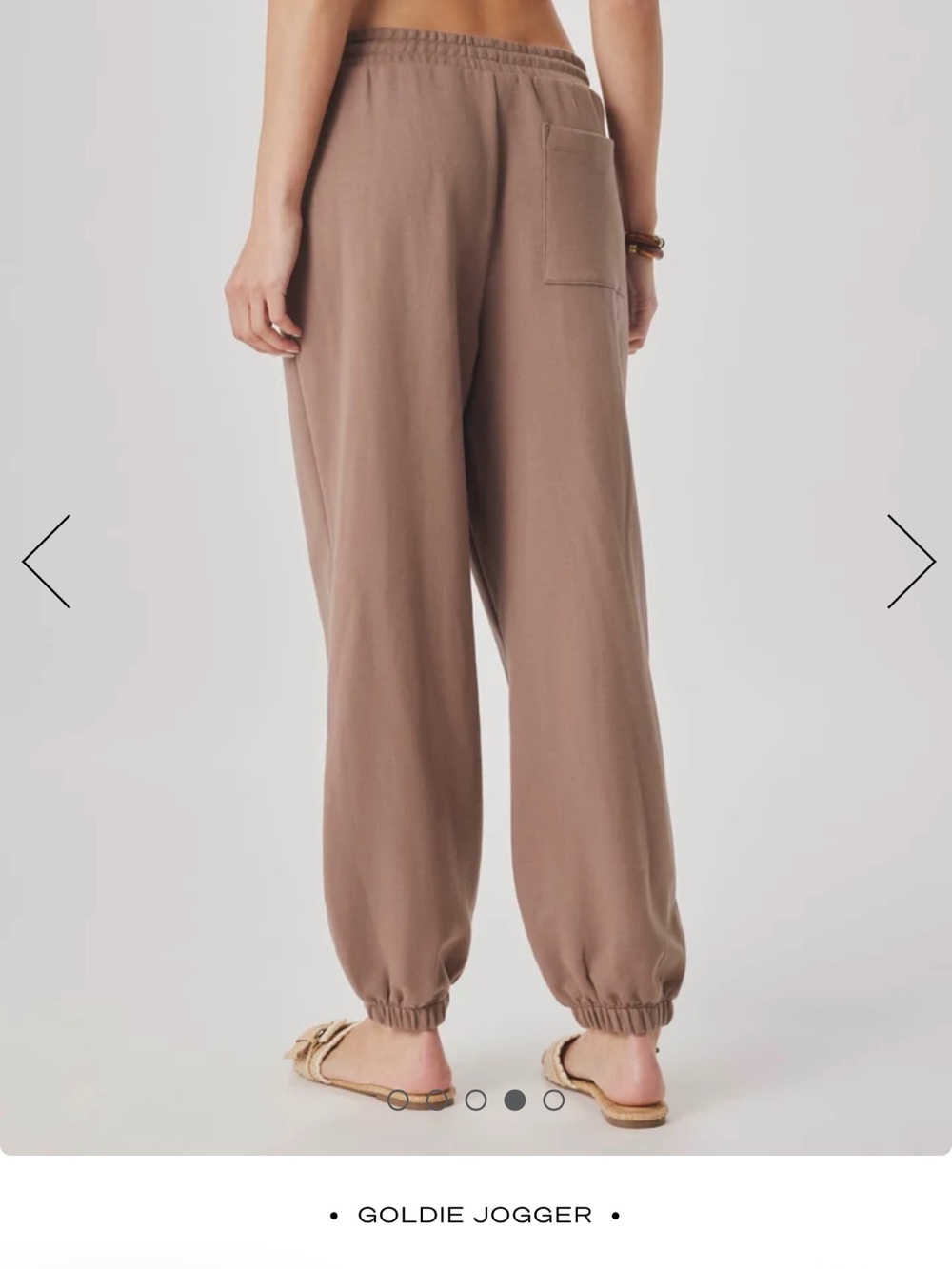 Splendid Taupe Drawstring Joggers - Picture 4 of 6